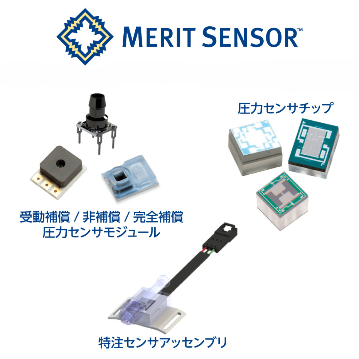 Merit Sensor 社のブースイメージ
