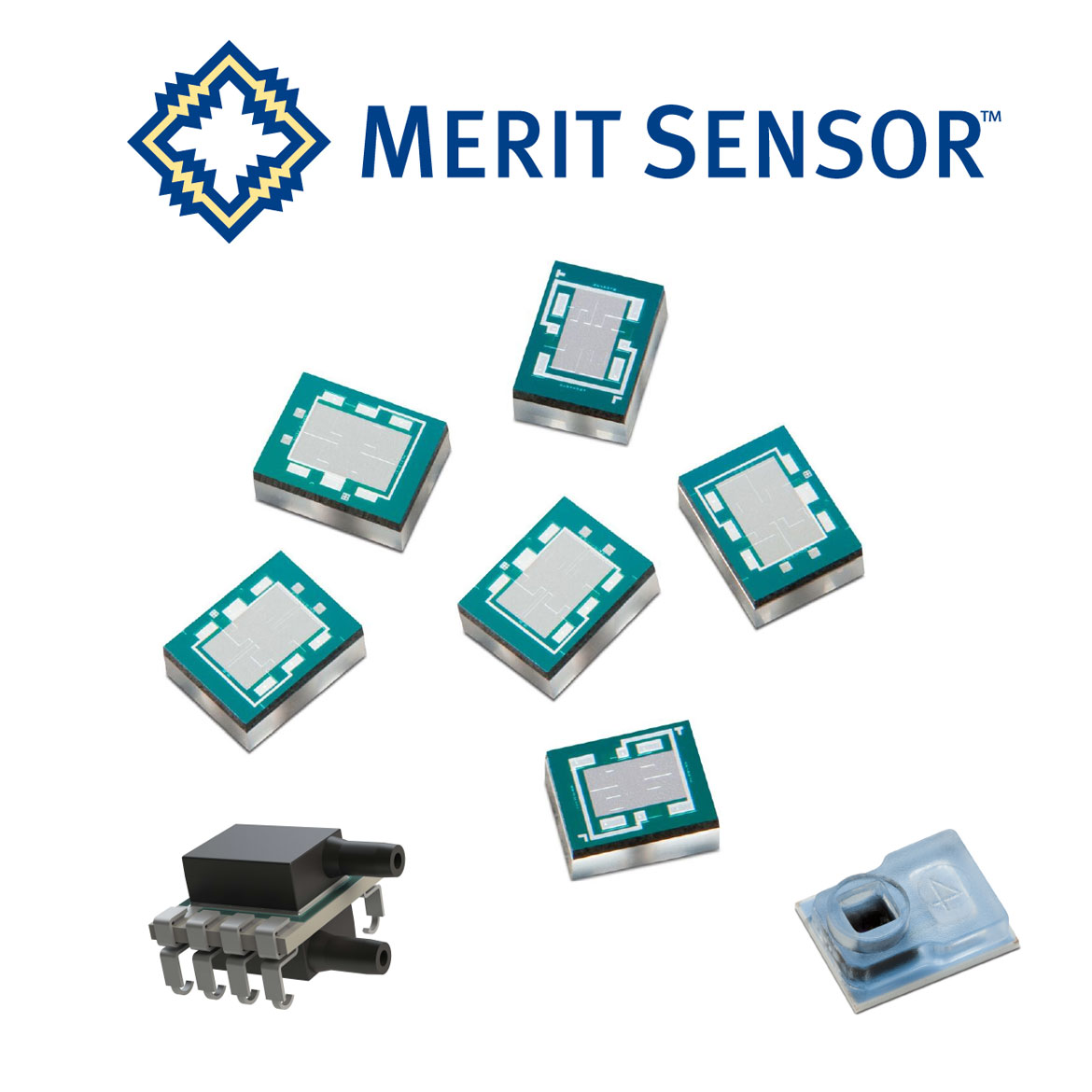 Merit Sensor ロゴと製品のイメージ