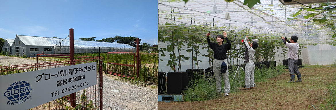 グローバル電子高松実験農場 グローバル電子高松実験農場