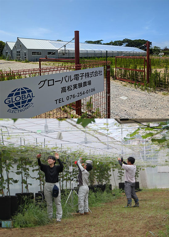 グローバル電子高松実験農場 グローバル電子高松実験農場