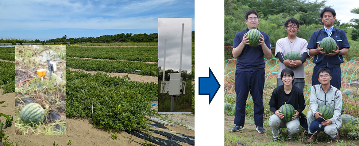 ベテラン農家の圃場潅水状況を測定伝送し、自動潅水システムで自社実験農場に再現 ベテラン農家の圃場潅水状況を測定伝送し、自動潅水システムで自社実験農場に再現