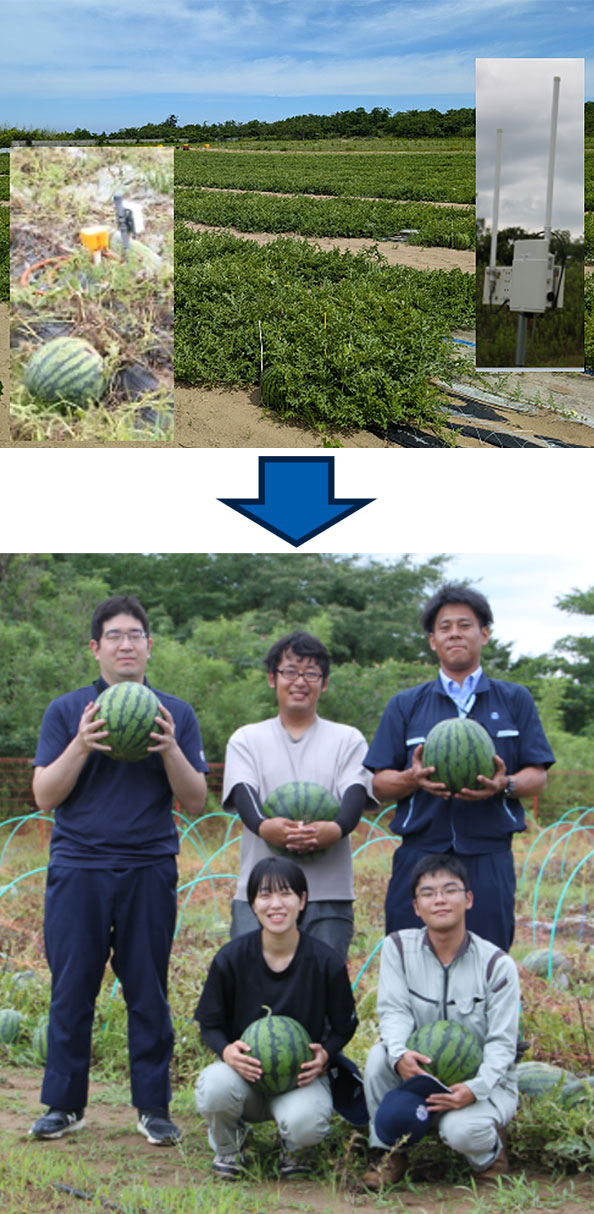 ベテラン農家の圃場潅水状況を測定伝送し、自動潅水システムで自社実験農場に再現 ベテラン農家の圃場潅水状況を測定伝送し、自動潅水システムで自社実験農場に再現